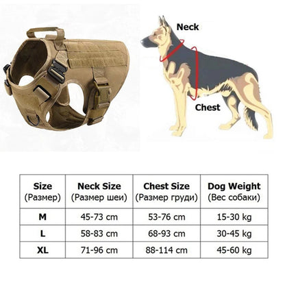 Dog Accessories Breathable Mesh Dog Harness and Leash Set Puppy Cat Harness Vest for Small Dogs Chihuahua Arnes Para Perro