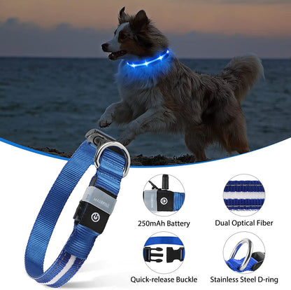 Led Dog Collar,Rechargeable Light up Dog Collars Water-Resistant Lighted Dog Collar Flashing Glowing Dog Collar Night Waking Collar for Dogs