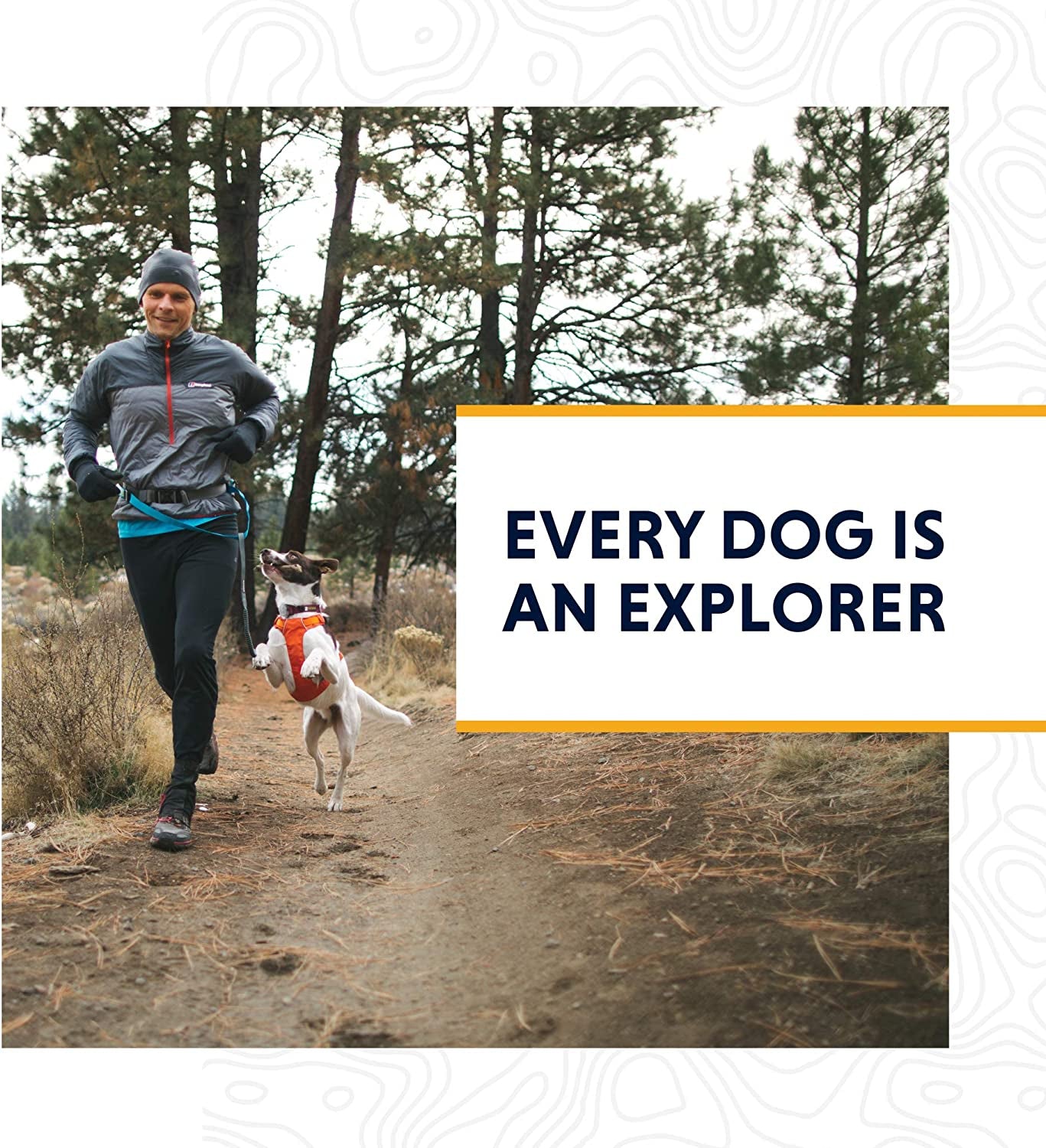 , Hi & Light, Everyday Lightweight Adjustable Dog Harness, Training, Trail Running, Walking, Hiking, All-Day Wear, Durable No Pull Outdoor, Stash Pocket